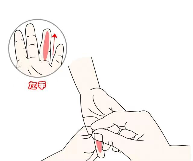 清肺經.png